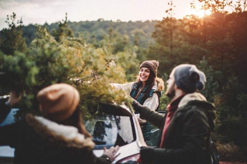 Holidays and Schizophrenia Strategies for Families Coping with Seasonal Triggers
